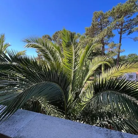 La Palmeraie Yourhosthelper
